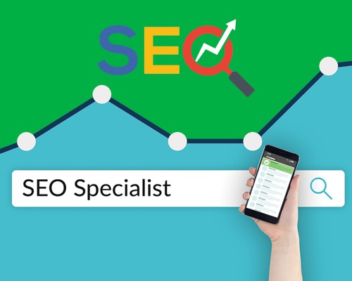 Seo Specialist: cosa fa e come diventarlo